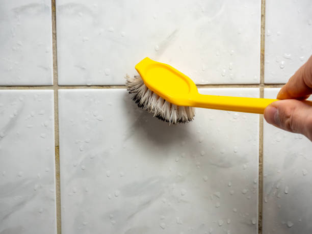 Best Black Mold Removal  in Fruitvale, CO