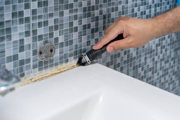 Best Local Mold Removal Service  in Fruitvale, CO
